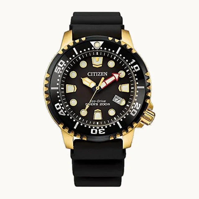 プロマスター [Citizen] PROMASTER 海外モデル 正規品